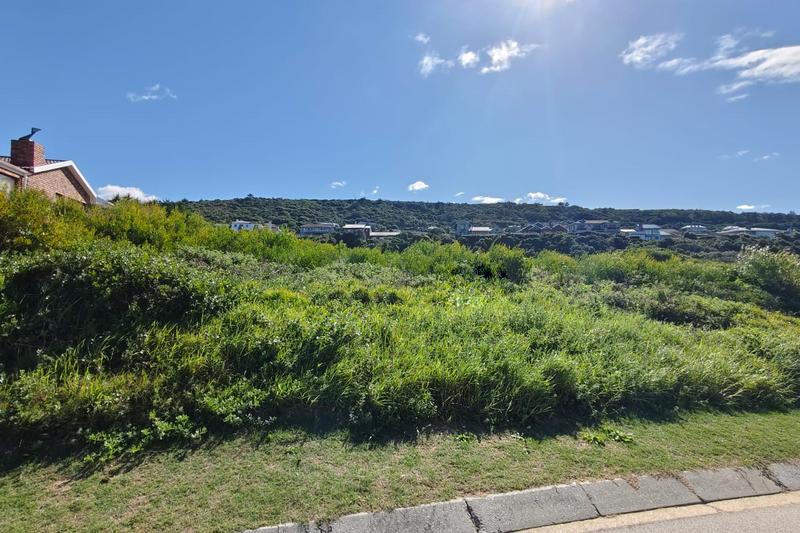 0 Bedroom Property for Sale in Outeniqua Strand Western Cape